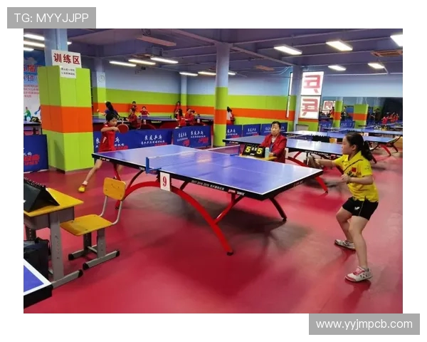 成都乒乓球队区域防守革新之路探索与实践分析